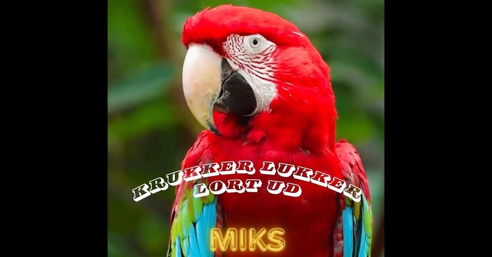 MIKS SYNDICATE Album Cover